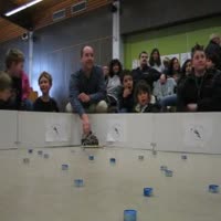 MVI_1459-teelicher-onboard.AVI.mp4